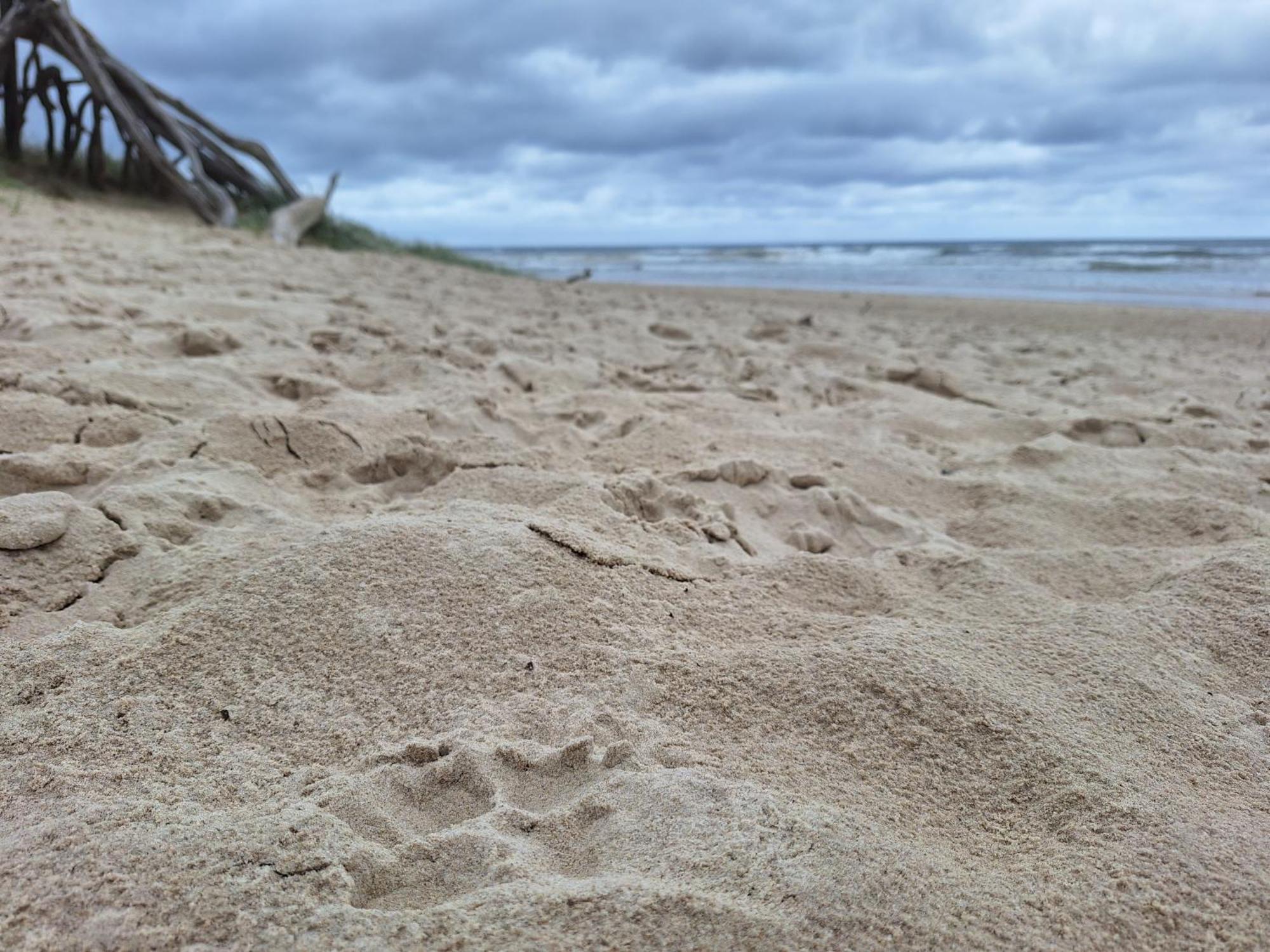 Ballina Beach Nature Resort Экстерьер фото