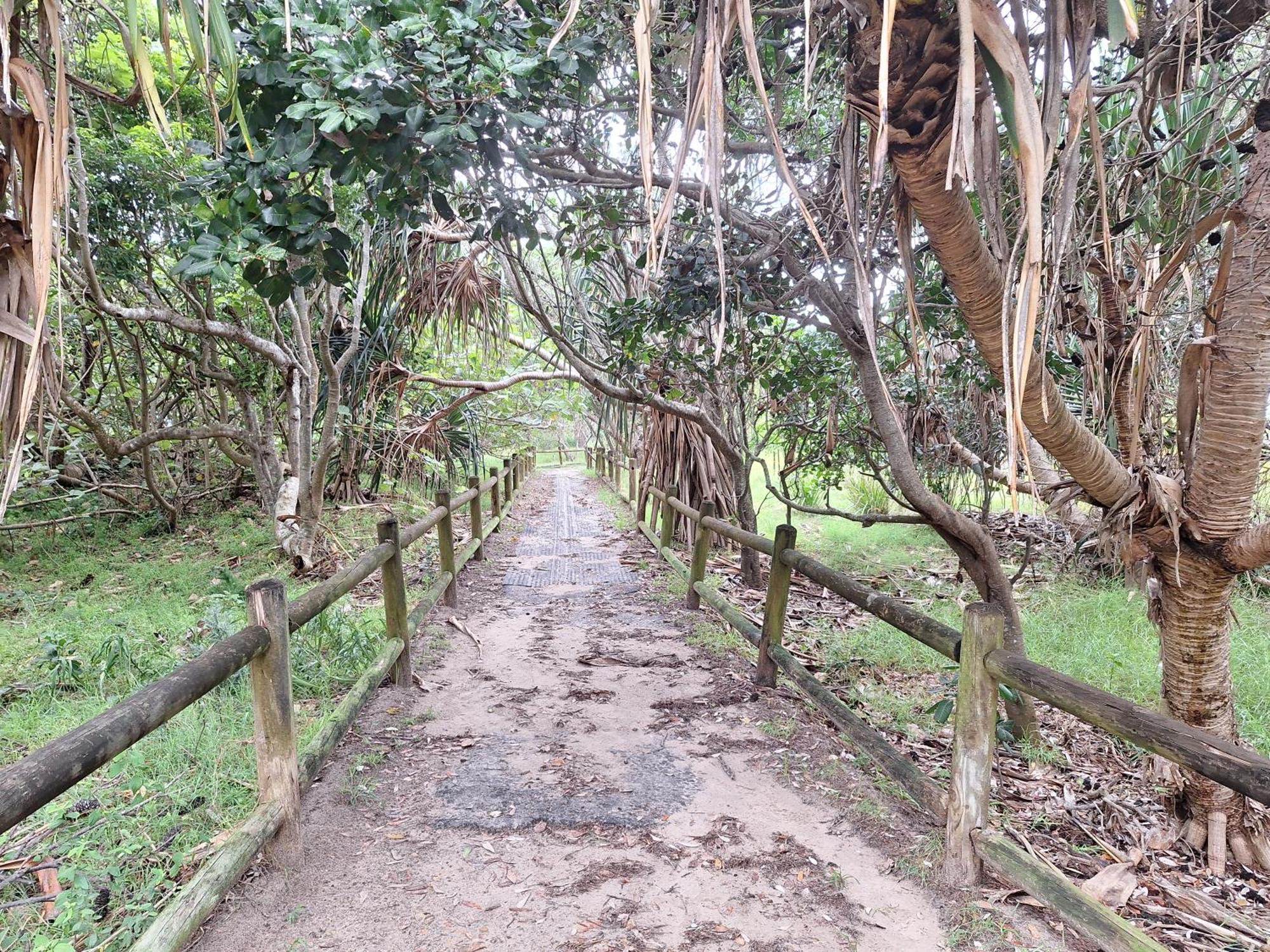 Ballina Beach Nature Resort Экстерьер фото